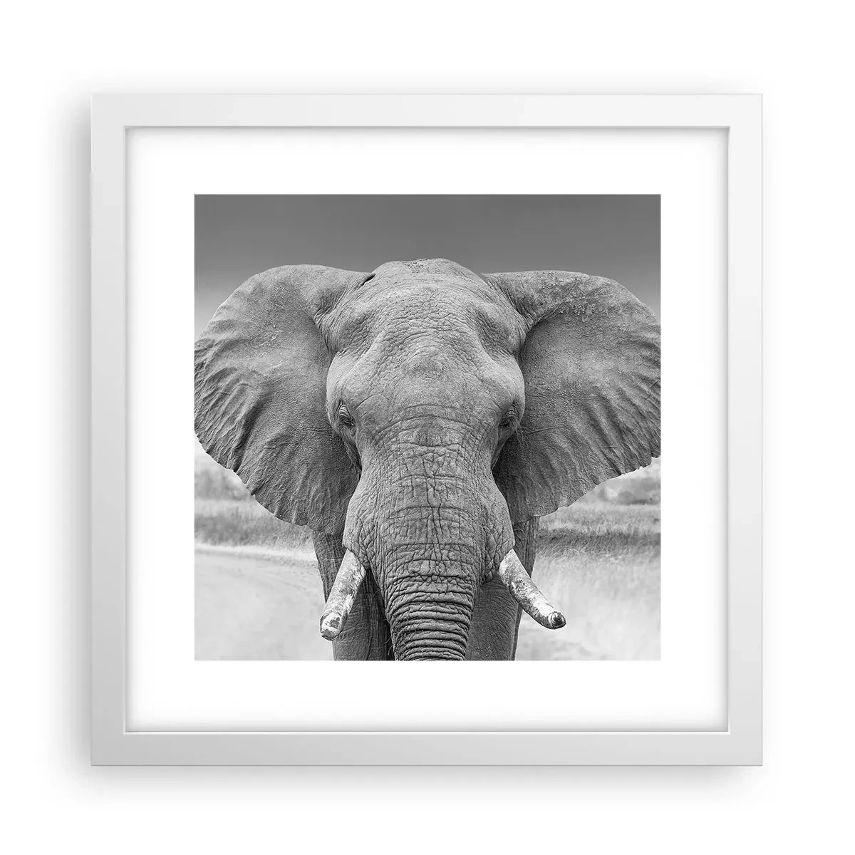 Plakat w białej ramie - Witaj w moim świecie - 30x30 cm