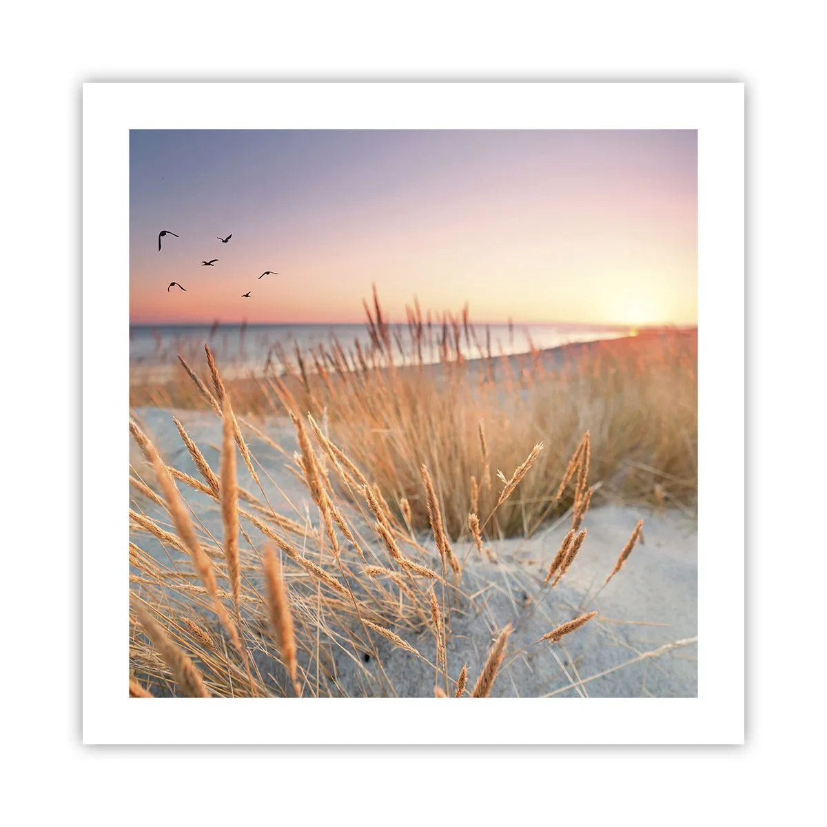 Plakat - Bałtycka kołysanka - 50x50 cm