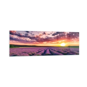 Obraz na szkle - Pole lawendy o zachodzie słońca z kolorowym niebem - 160x50cm - Lawendowy świat - Nowoczesna dekoracja ścienna do salonu i sypialni ARTTOR