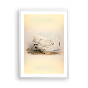Plakat w białej ramie - Pani na szuwarach - 50x70 cm