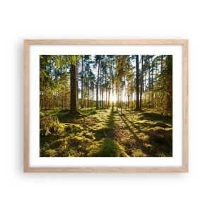 Plakat w ramie jasny dąb - …Za siedmioma lasami - 50x40 cm