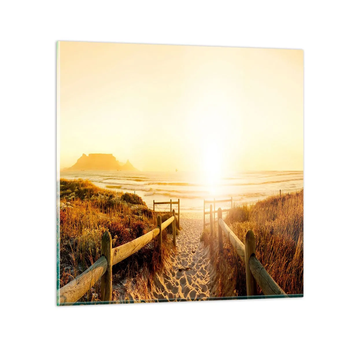 Obraz na szkle - Przez wydmę, w stronę słońca - 60x60 cm