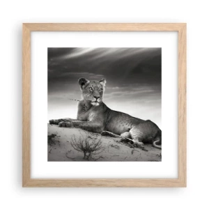Plakat w ramie jasny dąb - Odpoczynek królowej pustyni - 30x30 cm