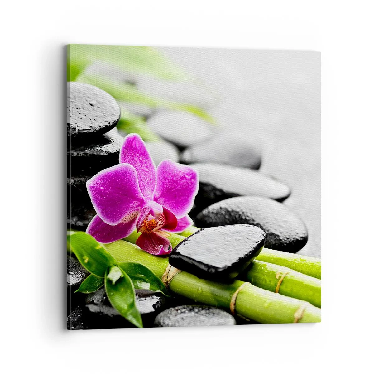 Obraz na płótnie - W spokojnej równowadze - 70x70 cm