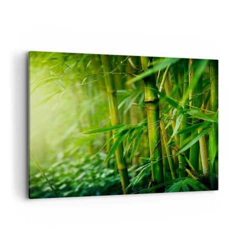 Obraz na płótnie - Zielony bambusowy las w delikatnym świetle - 100x70cm - Poznać zieleń samą w sobie - Nowoczesna dekoracja ścienna do salonu, kuchni i sypialni ARTTOR