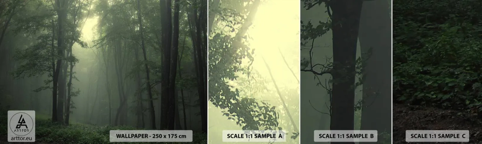 Fototapeta Próbka Standard Eco - Zanim się obudzi - Krajobraz, Las, Natura - 100x30 cm