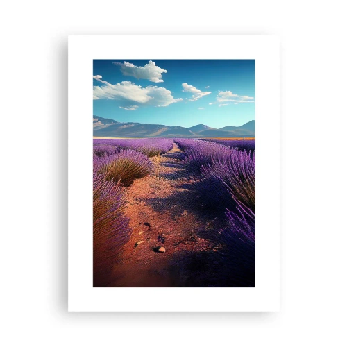 Plakat - Pachnące pola - 30x40 cm