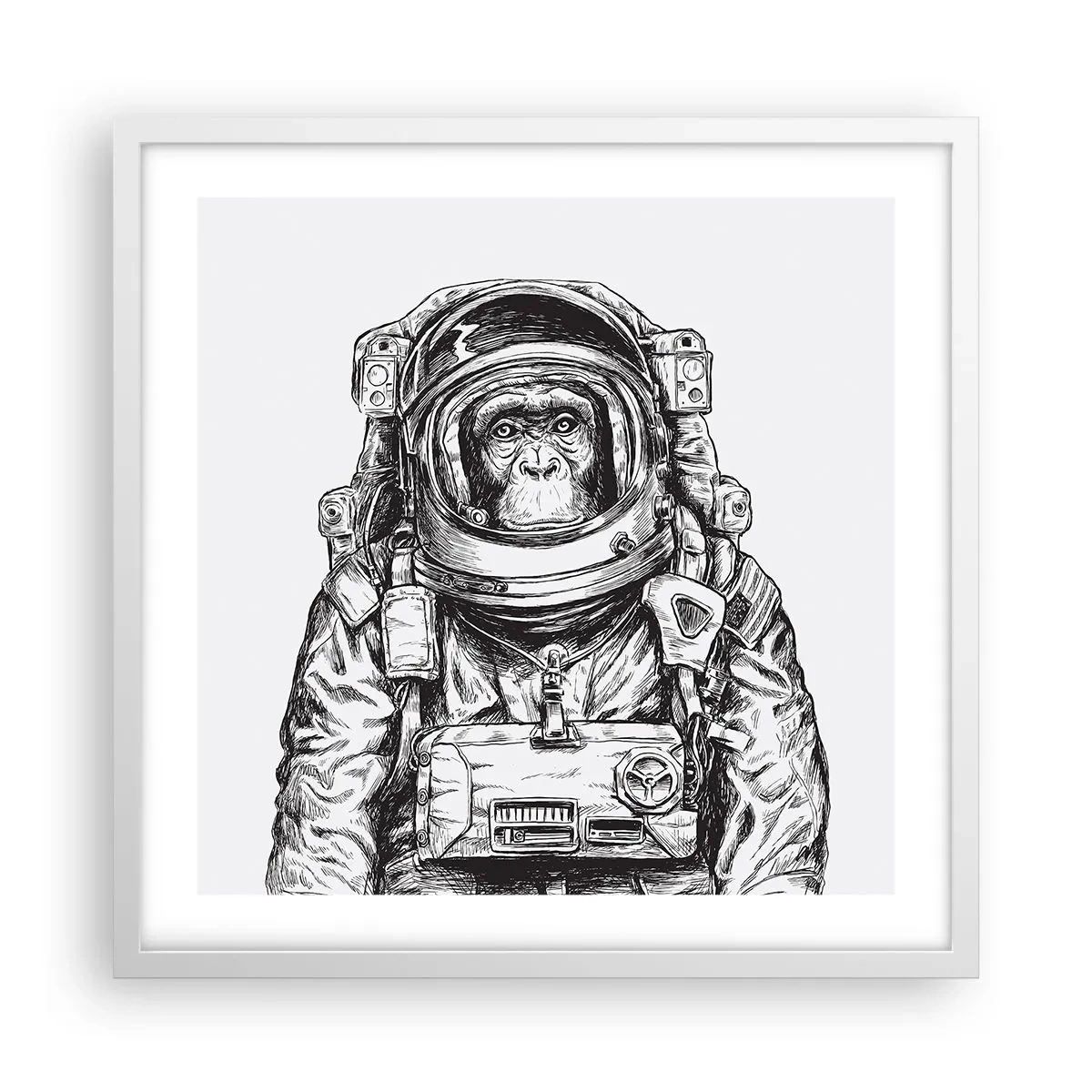 Plakat w białej ramie - Alternatywna ewolucja - 50x50 cm