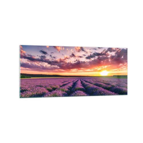 Obraz na szkle - Pole lawendy o zachodzie słońca z kolorowym niebem - 120x50cm - Lawendowy świat - Nowoczesna dekoracja ścienna do salonu i sypialni ARTTOR