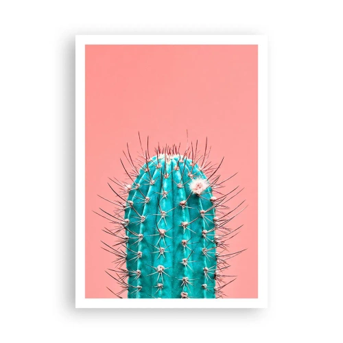 Plakat - Tylko patrz - 70x100 cm