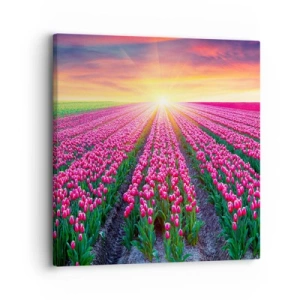 Obraz na płótnie - Farma piękności - 30x30 cm