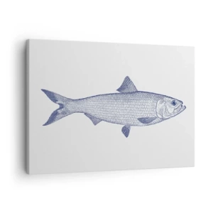 Obraz na płótnie - Ilustracja ryby w odcieniach niebieskiego na jasnym tle - 70x50cm - Pozdrowienia z północnych mórz - Nowoczesna dekoracja ścienna do salonu i sypialni ARTTOR