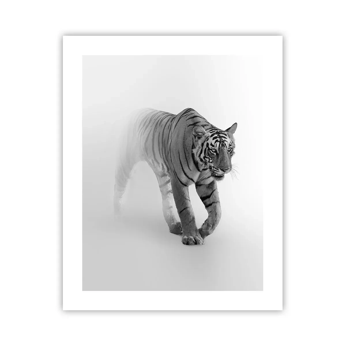 Plakat - Przyczajony we mgle - 40x50 cm