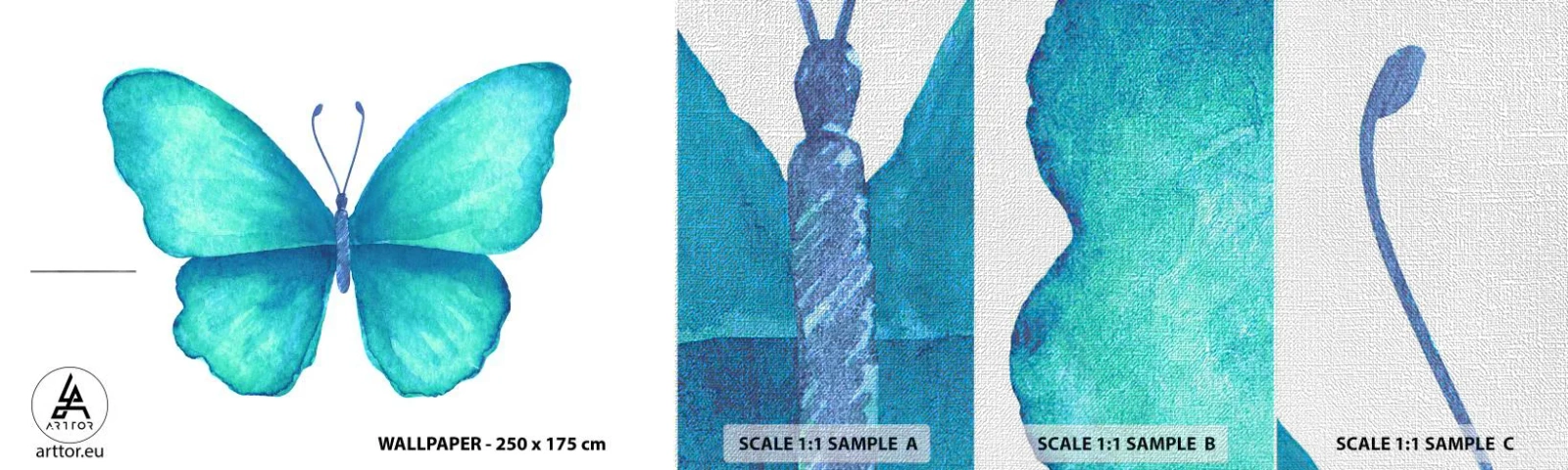 Fototapeta Próbka Premium Canvas - Turkusowy z natury - Motyl, Dla Dzieci, Grafika - 100x30 cm