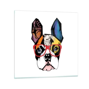 Obraz na szkle - Intelektualista - 70x70 cm