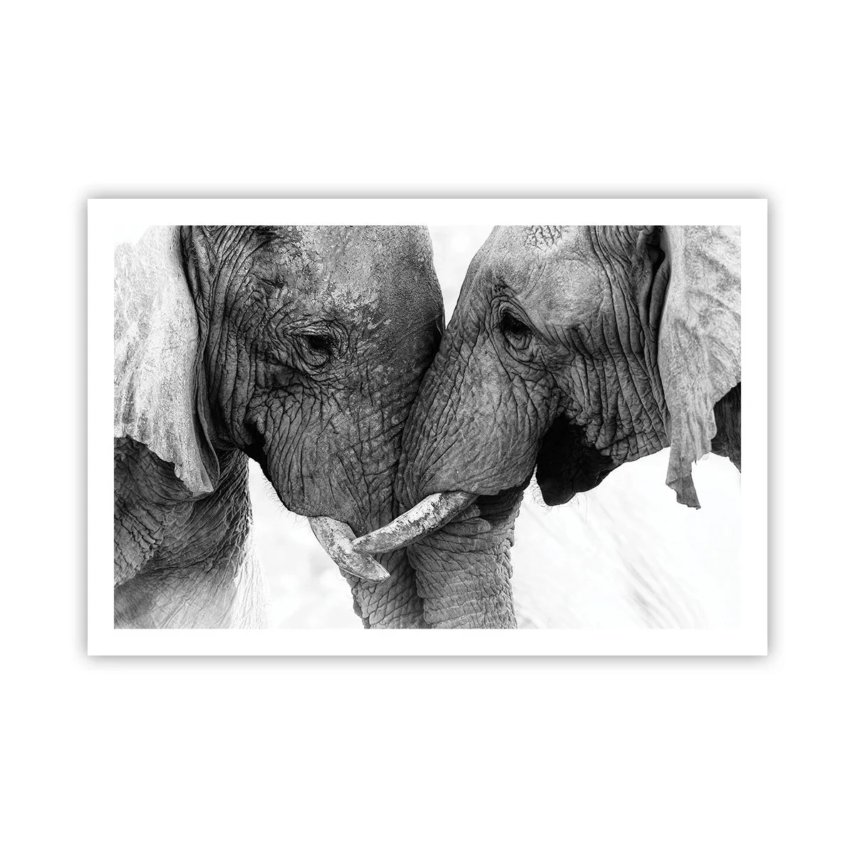 Plakat - Serdeczne wyznanie - 91x61 cm
