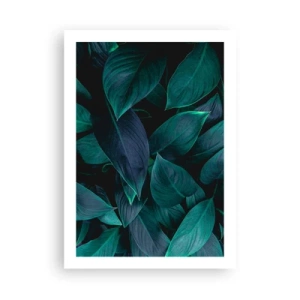 Plakat - Ciemnozielone liście z subtelnym podświetleniem - 50x70cm - Zieleń sama w sobie - Nowoczesna dekoracja ścienna do salonu, kuchni i sypialni ARTTOR