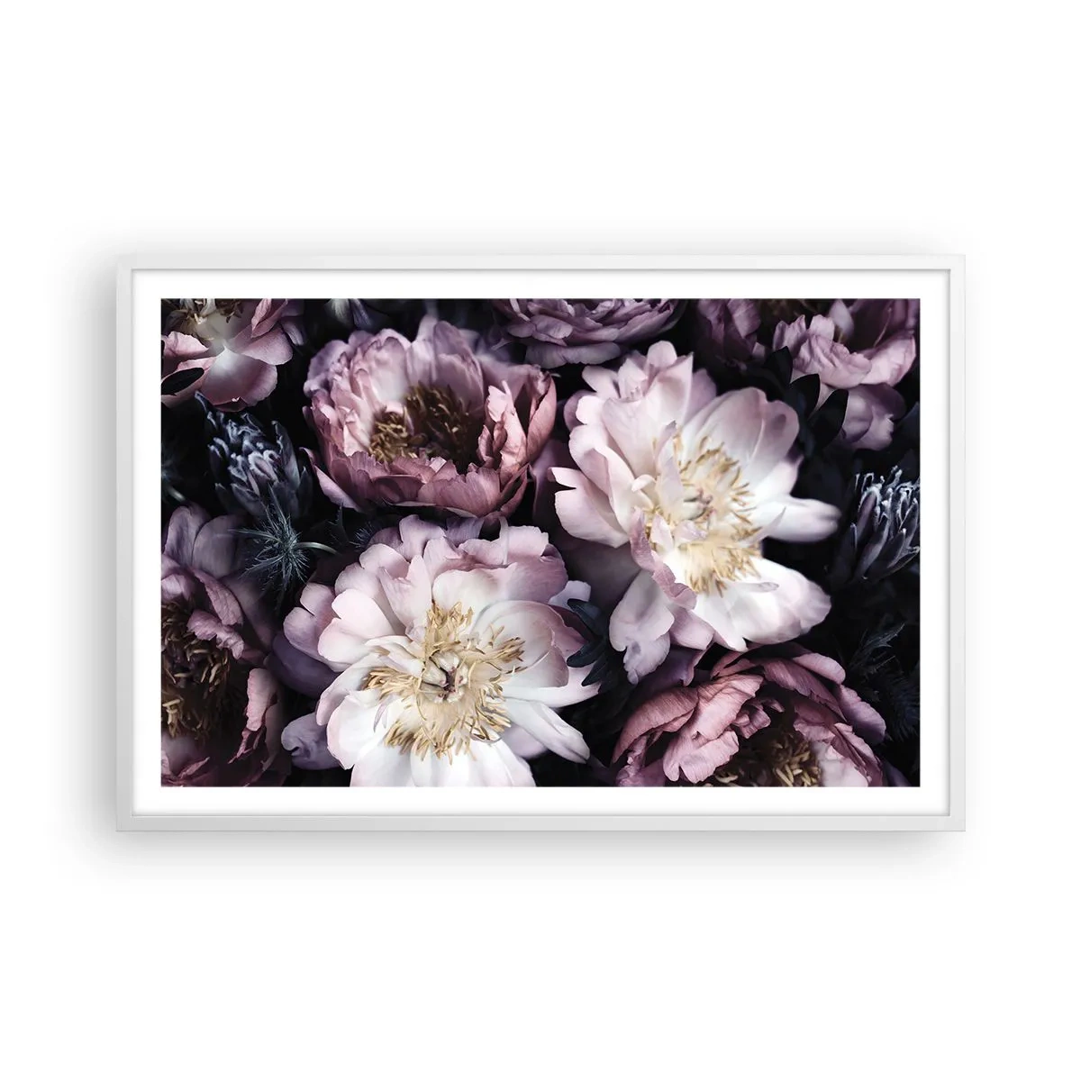 Plakat w białej ramie - Bukiet w dawnym stylu - 91x61 cm
