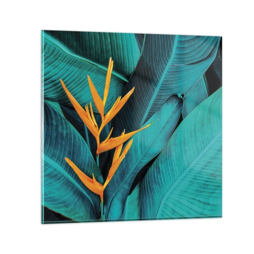 Obraz na szkle - Kwiat Edenu - 50x50 cm