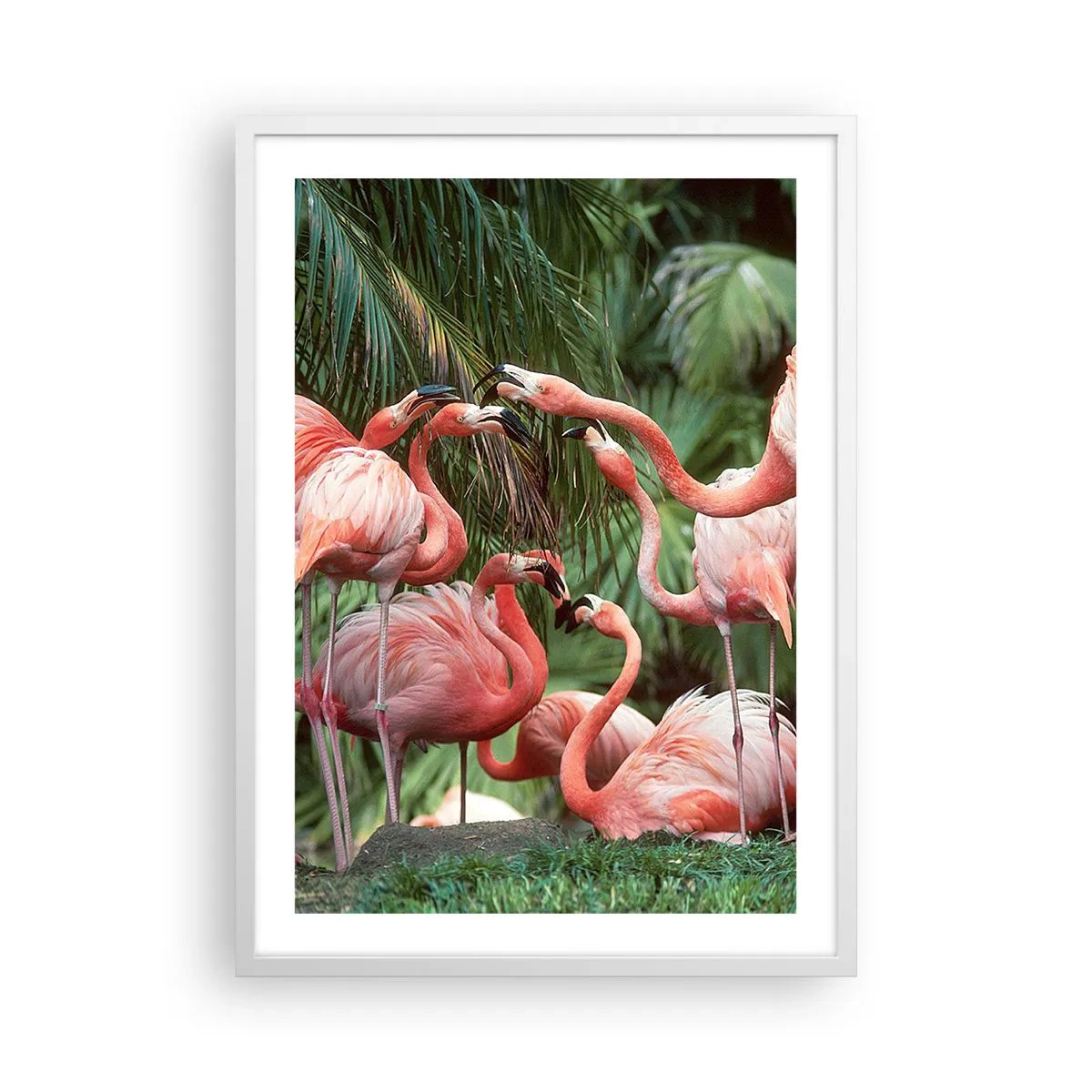 Plakat w białej ramie - Popołudniowe ploteczki - 50x70 cm