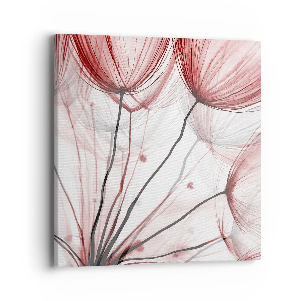 Obraz na płótnie - Przed odlotem - 40x40 cm