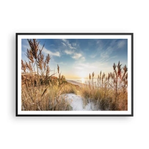 Plakat w czarnej ramie - Malownicza plaża z trawami i zachodzącym słońcem - 100x70cm - Północna plaża - Nowoczesna dekoracja ścienna do salonu i sypialni ARTTOR