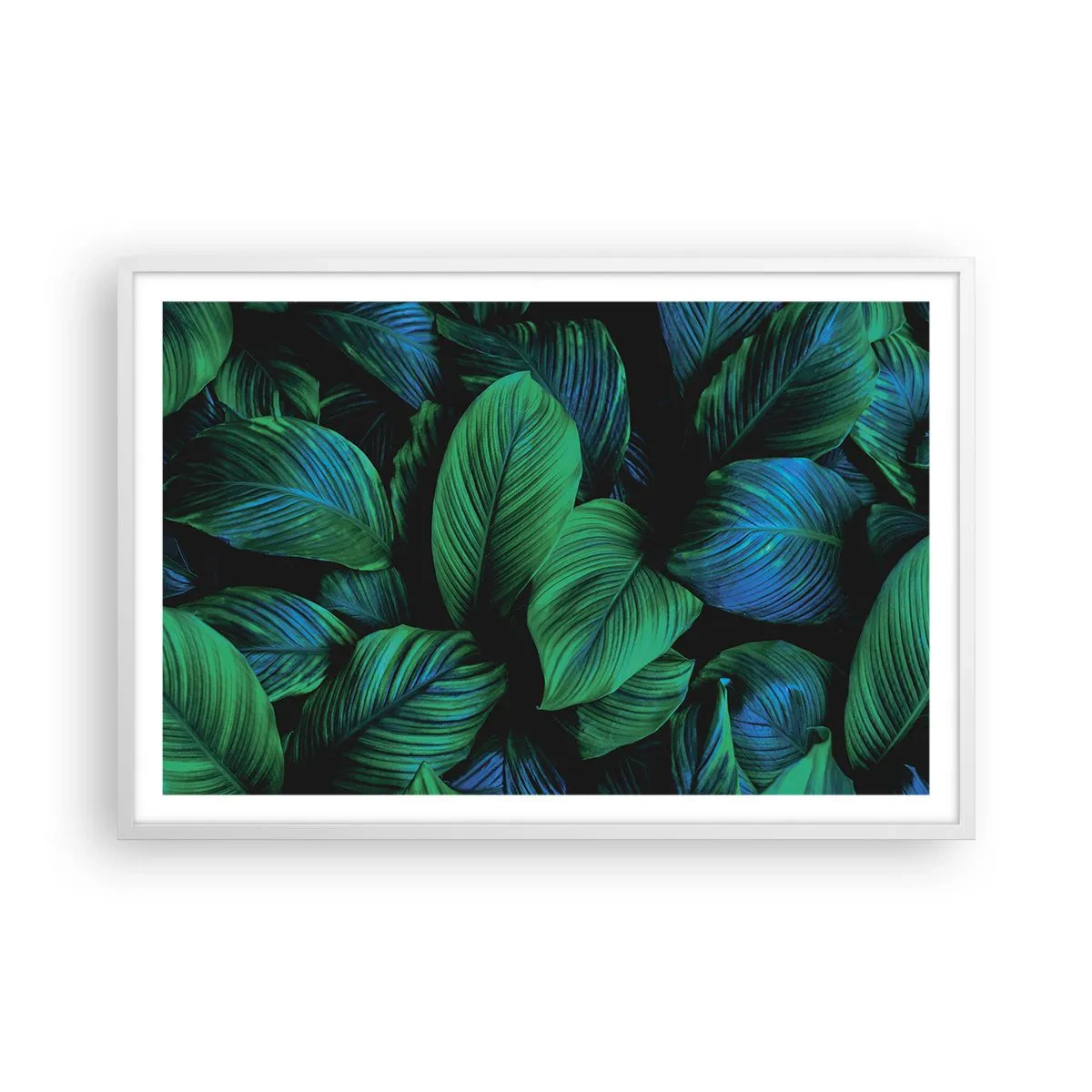 Plakat w białej ramie - W zielonym tłumie - 91x61 cm