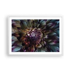 Plakat w białej ramie - Rozkwit młodości - 70x50 cm