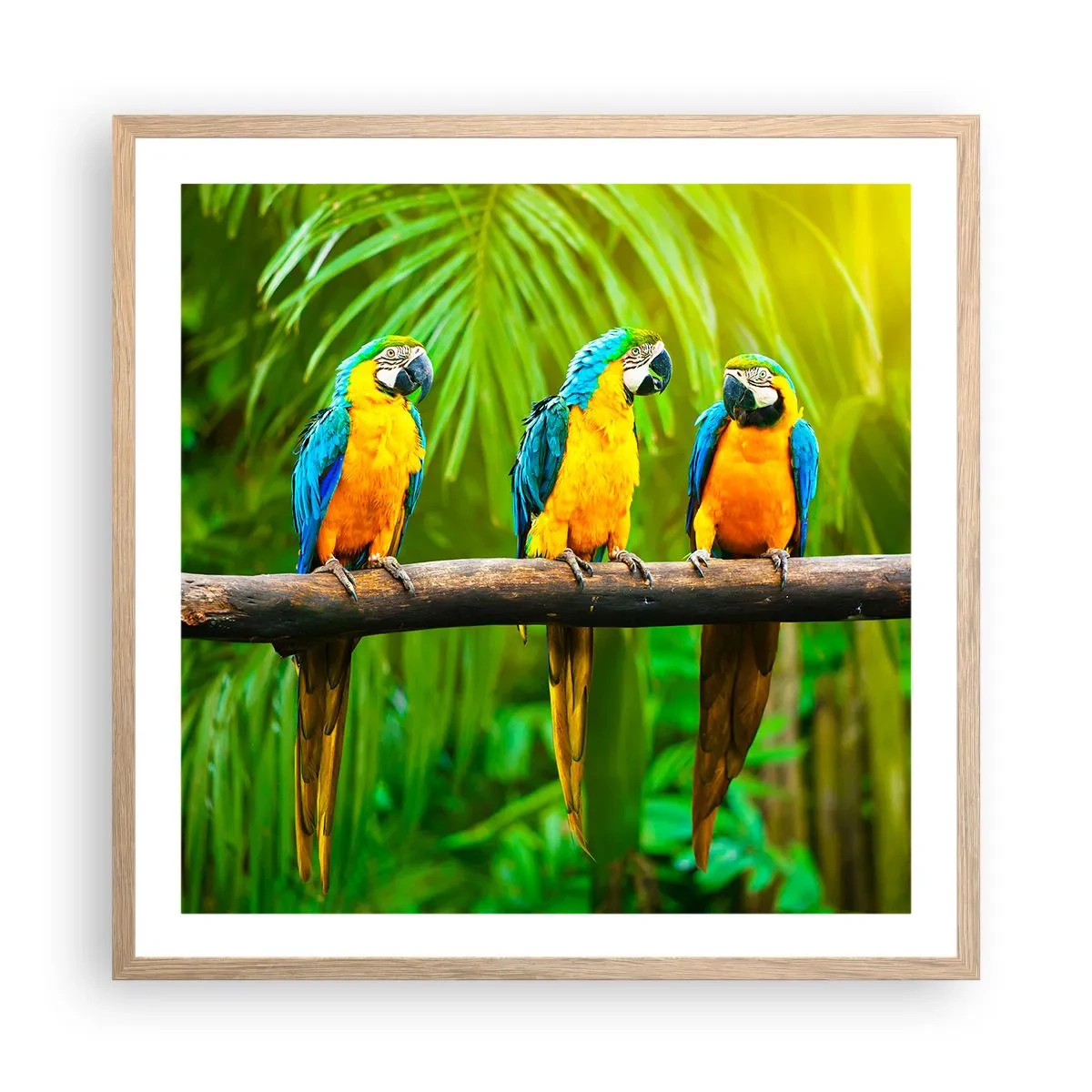 Plakat w ramie jasny dąb - A słyszałaś, że ona…? - 60x60 cm