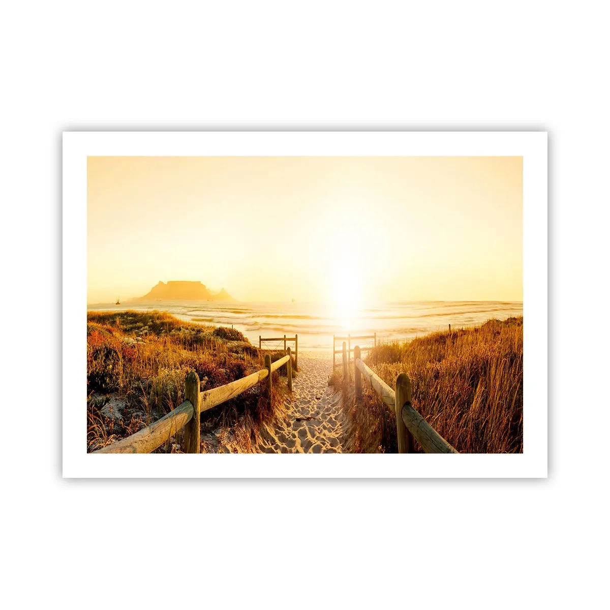 Plakat - Przez wydmę, w stronę słońca - 70x50 cm