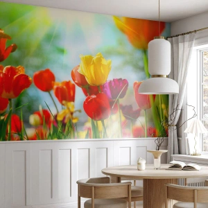 Fototapeta Standard Eco - Kolorowe tulipany w promieniach wiosennego słońca - 100x70cm - Wszystkie barwy słońca - Nowoczesna dekoracja ścienna do salonu i sypialni ARTTOR