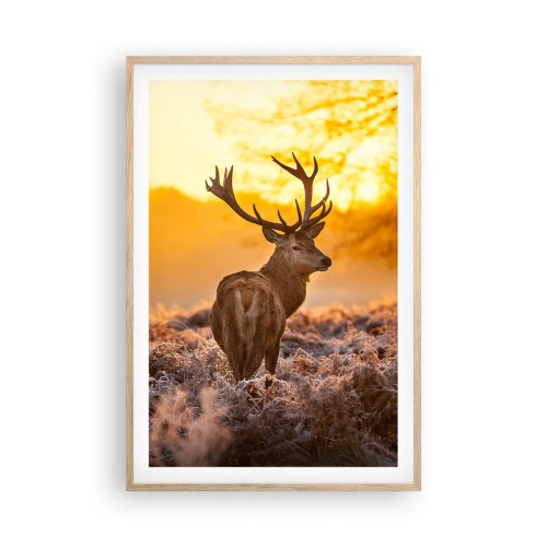 Plakat w ramie jasny dąb - Król jesiennego lasu - 61x91 cm