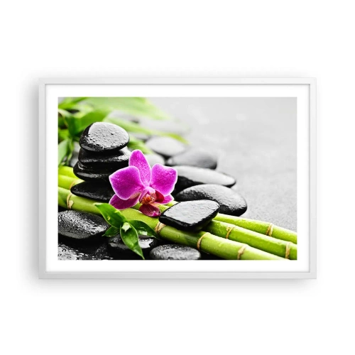 Plakat w białej ramie - W spokojnej równowadze - 70x50 cm