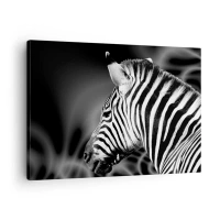 70x50 cm | Poziomy