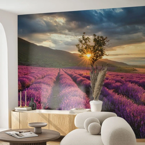 Fototapeta Premium Sand - Aromat w kolorze lila - Krajobraz, Lawenda, Prowansja - 300x210 cm