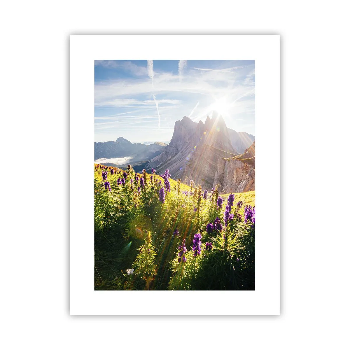 Plakat - Sekretne życie ziół - 30x40 cm