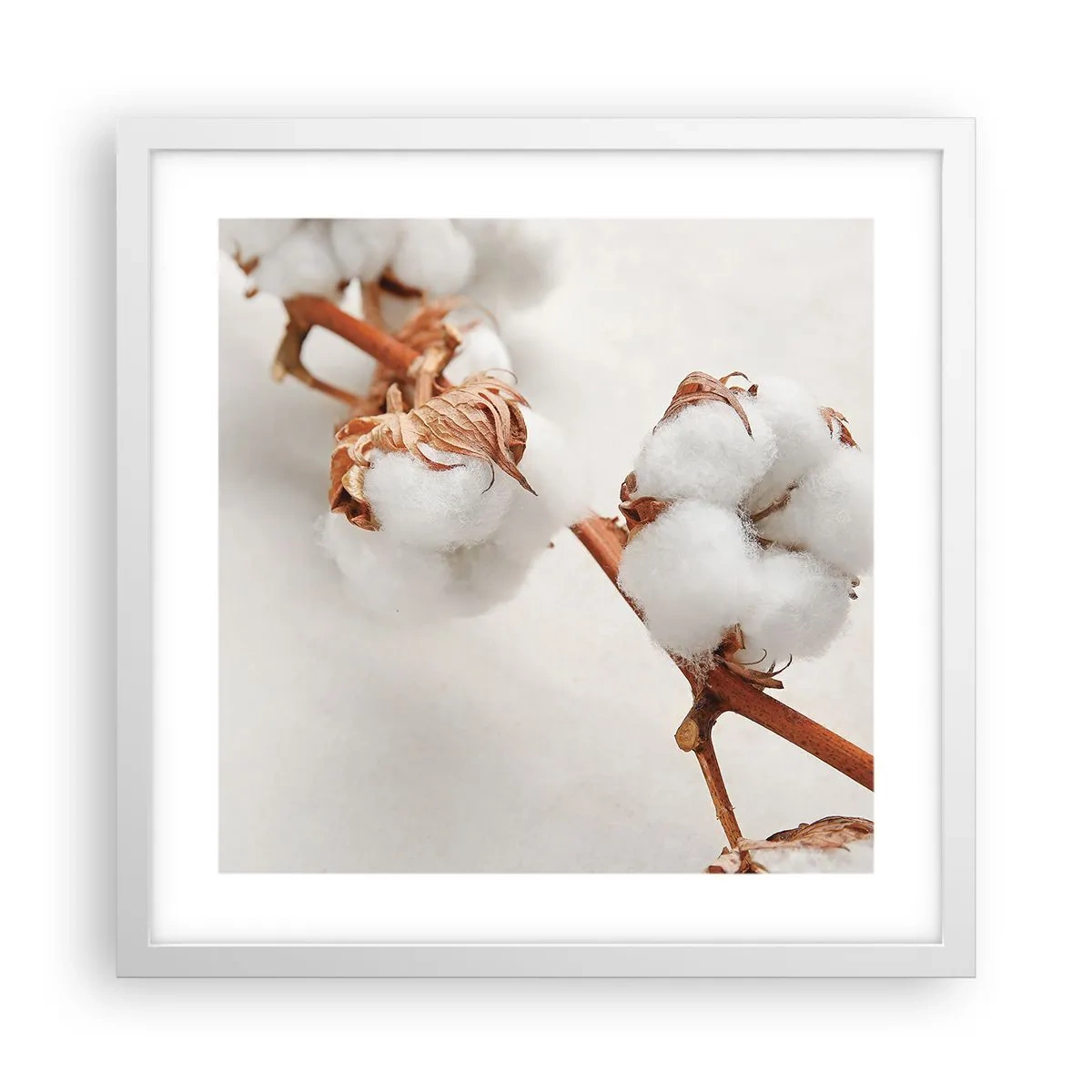 Plakat w białej ramie - Tylko tulić - 40x40 cm