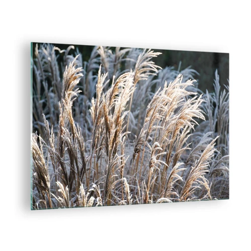 Obraz na szkle - Zmrożone trawy w zimowym słońcu - 70x50cm - Szronem ustrojone - Nowoczesna dekoracja ścienna do salonu i sypialni ARTTOR
