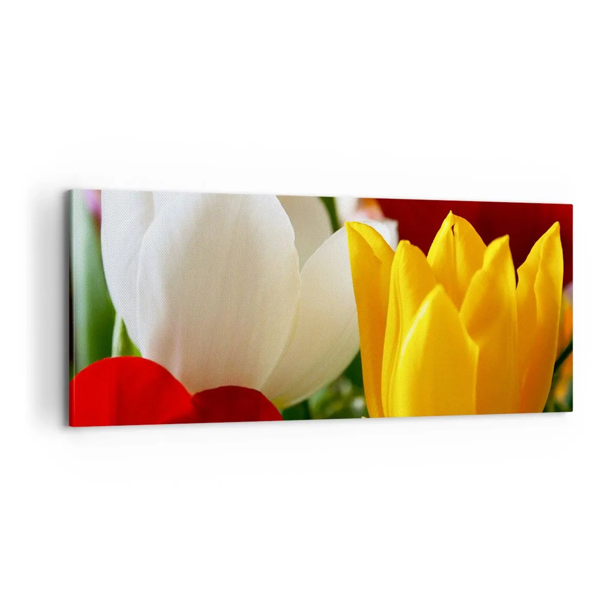 Obraz na płótnie - Tulipanowa gorączka - 100x40 cm