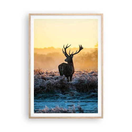 Plakat w ramie jasny dąb - Koronowany na swoich włościach - 70x100 cm