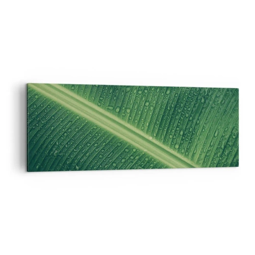 Obraz na płótnie - Zielony liść z kroplami wody na powierzchni - 140x50cm - Struktura zieleni - Nowoczesna dekoracja ścienna do salonu i sypialni ARTTOR