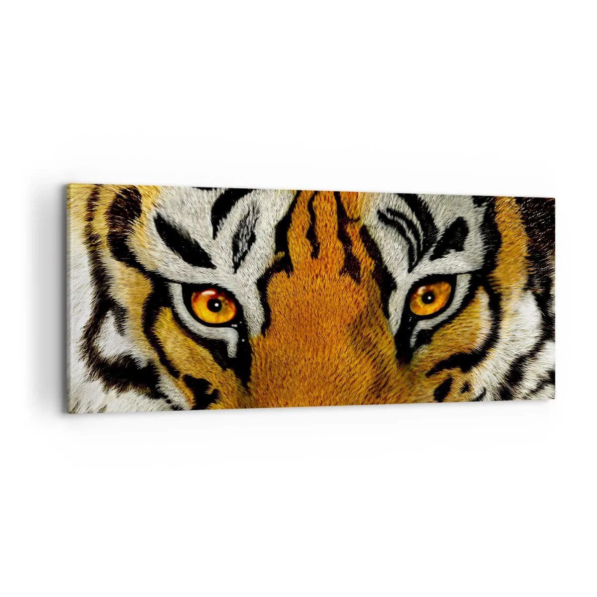 Obraz na płótnie - Groźny i piękny - 100x40 cm