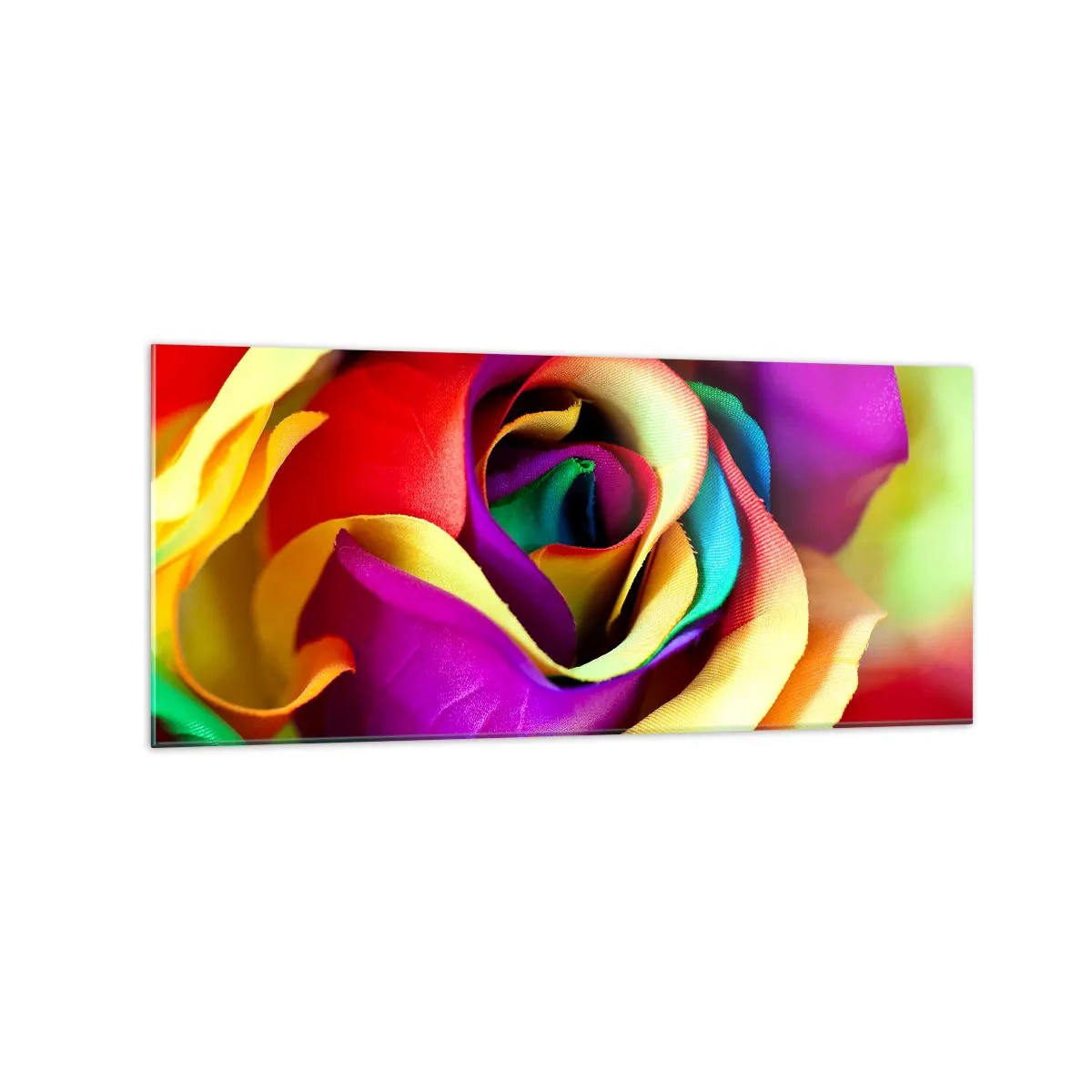 Obraz na szkle - Barwna róża w tęczowych odcieniach - 120x50cm - To niemożliwe - Nowoczesna dekoracja ścienna do salonu i sypialni ARTTOR