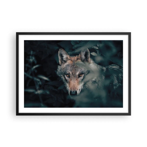 Plakat w czarnej ramie - Wilk w naturalnym otoczeniu, spoglądający z głębi lasu - 70x50cm - Łowca - Nowoczesna dekoracja ścienna do salonu i sypialni ARTTOR