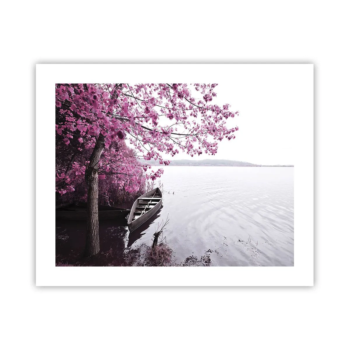 Plakat - W różowej ciszy - 50x40 cm