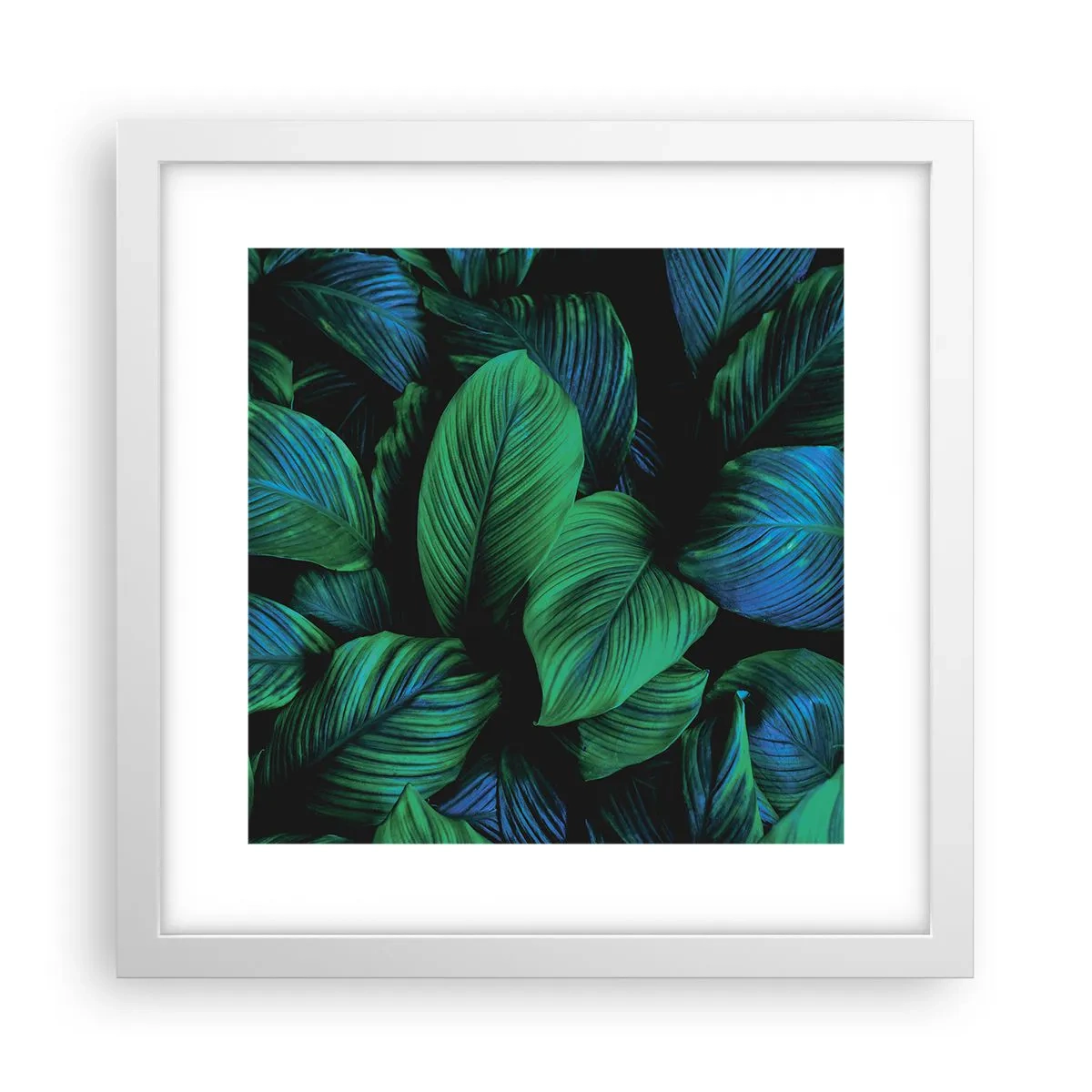 Plakat w białej ramie - W zielonym tłumie - 30x30 cm