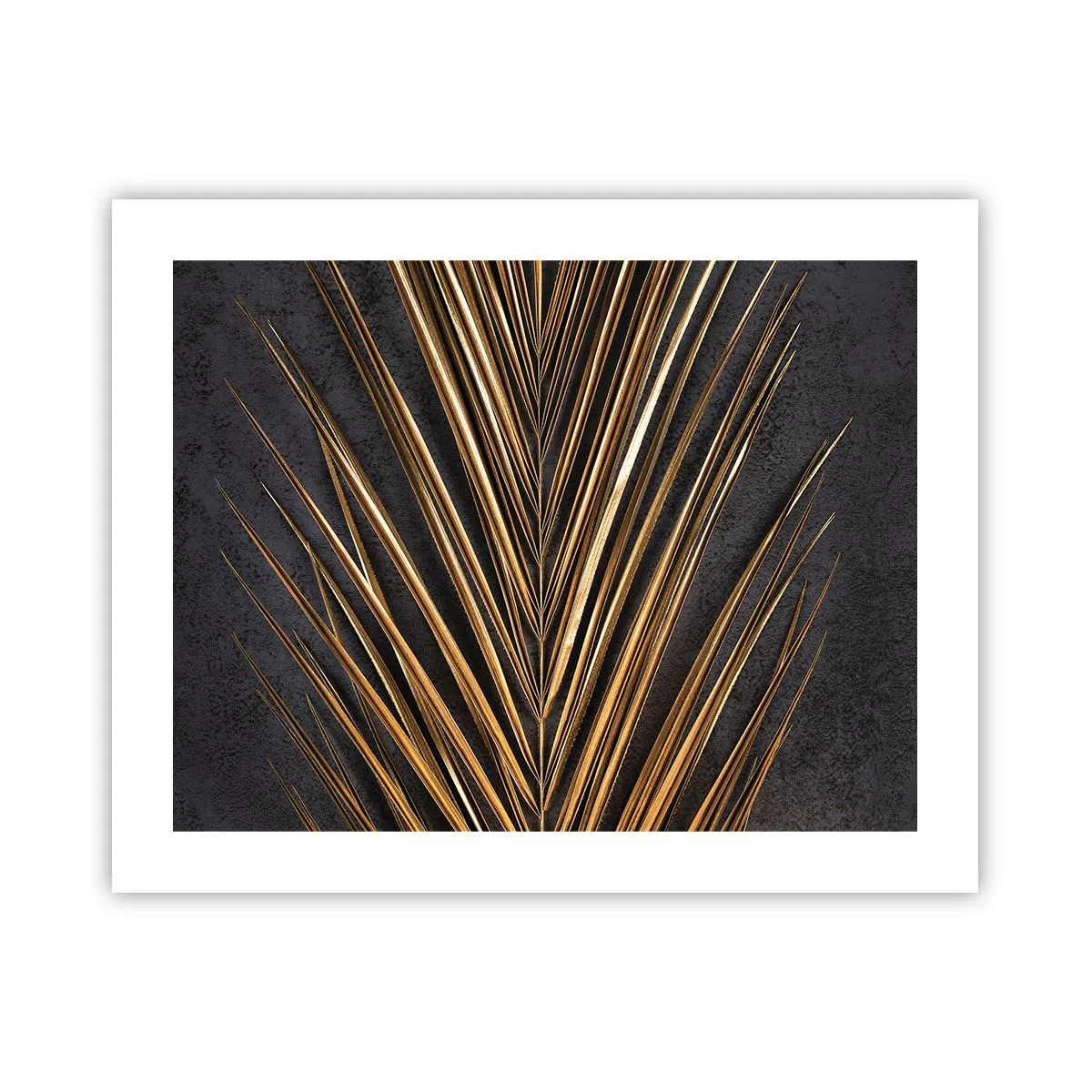 Plakat - Złoto tropików - 50x40 cm
