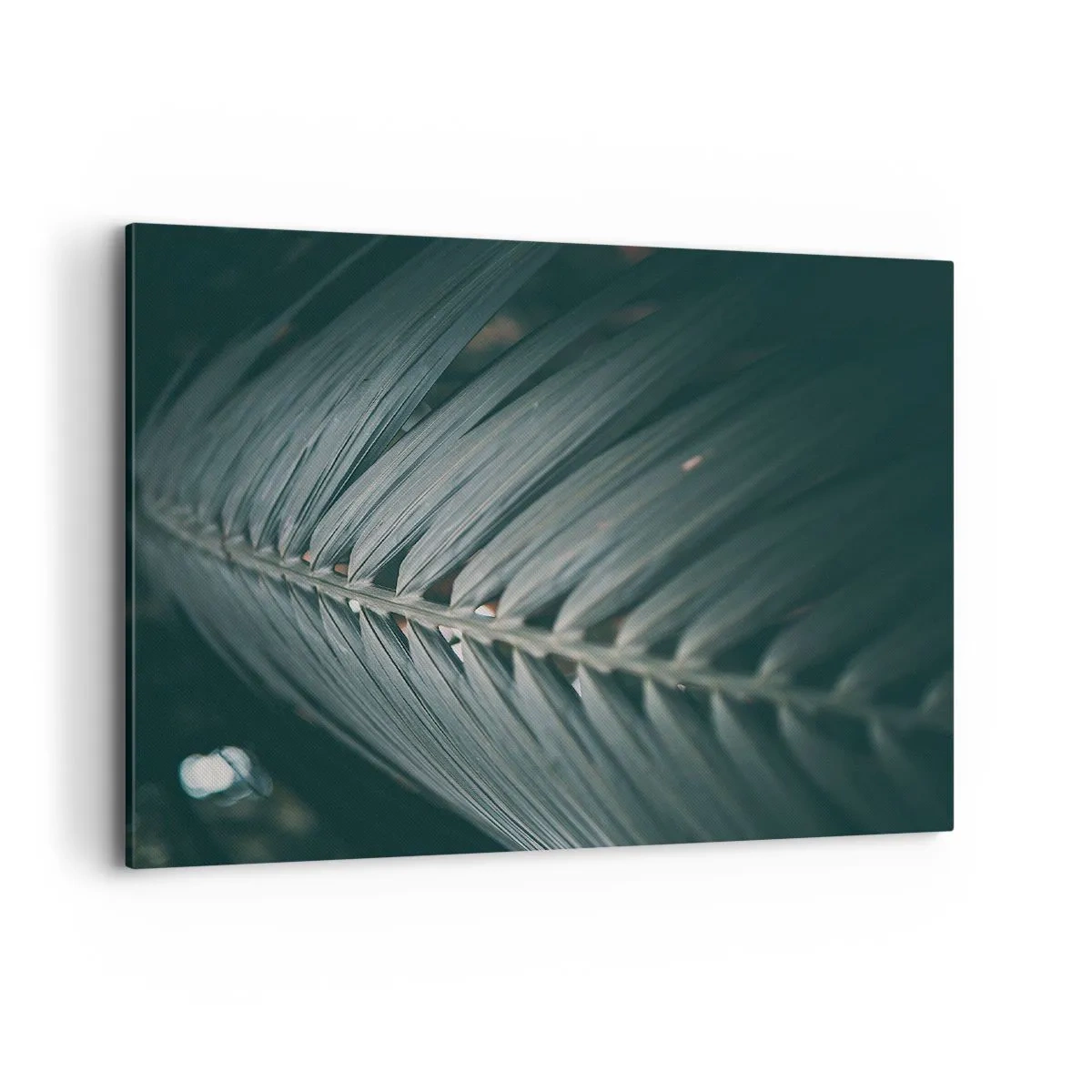 Obraz na płótnie - Zbliżenie na detal liścia palmowego w ciemnej tonacji - 100x70cm - Precyzja natury - Nowoczesna dekoracja ścienna do salonu, kuchni i sypialni ARTTOR