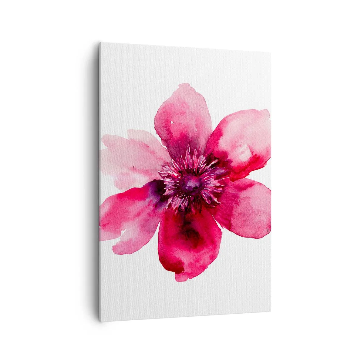 Obraz na płótnie - Różowy kwiat w akwarelowym stylu na białym tle - 70x100cm - Karminowy wonny pocałunek - Nowoczesna dekoracja ścienna do salonu i sypialni ARTTOR