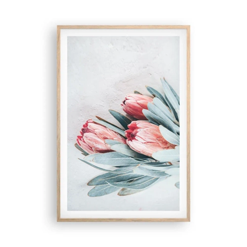 Plakat w ramie jasny dąb - Zawstydzone własną urodą - 61x91 cm